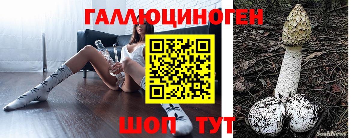 Кольчугино  Псилоцибиновые грибы мицелий  Вход с VPN  Галлюциногенные грибы MAGIC MUSHROOMS 