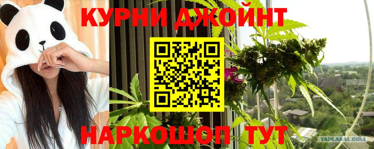 Бошки Шишки гибрид Кольчугино